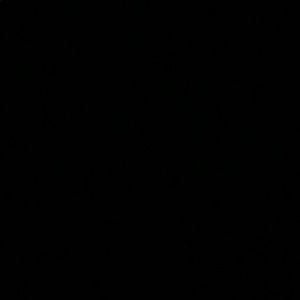 Meet your Posher, Dani